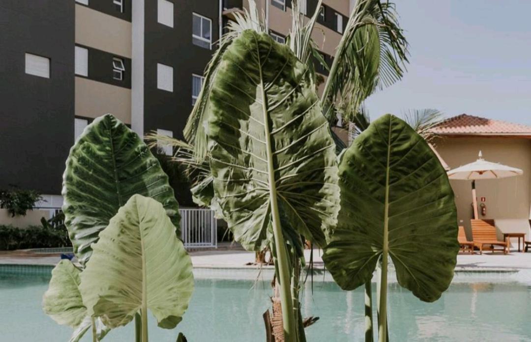 Jardim Das Palmeiras II Home Resort Ubatuba Εξωτερικό φωτογραφία